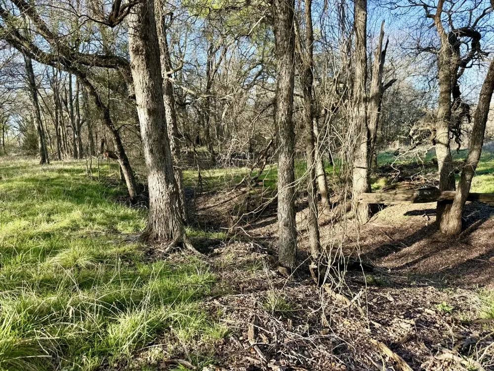 CR 328 Dublin, TX 76446