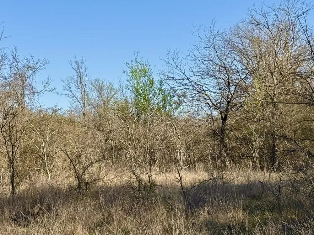 CR 328 Dublin, TX 76446