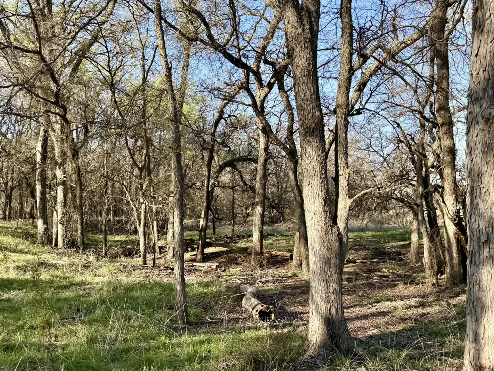 CR 328 Dublin, TX 76446