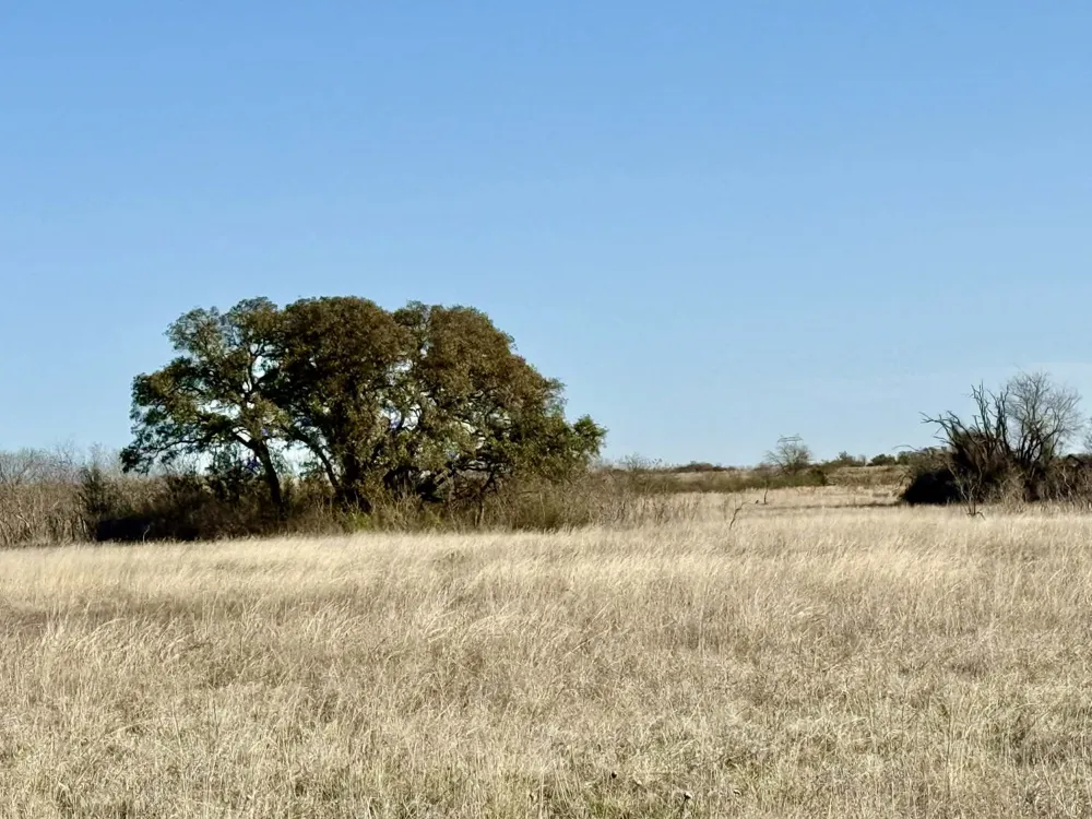 CR 328 Dublin, TX 76446