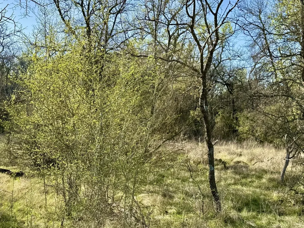 CR 328 Dublin, TX 76446