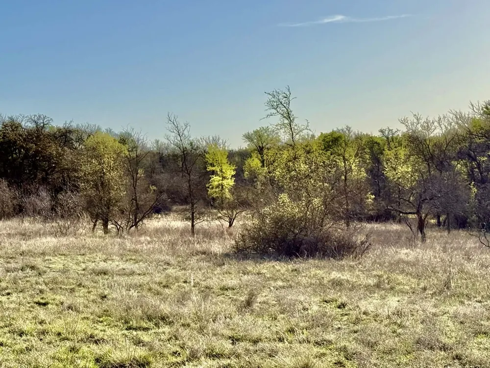 CR 328 Dublin, TX 76446