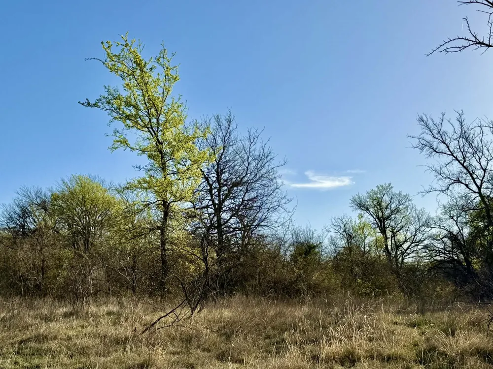 CR 328 Dublin, TX 76446