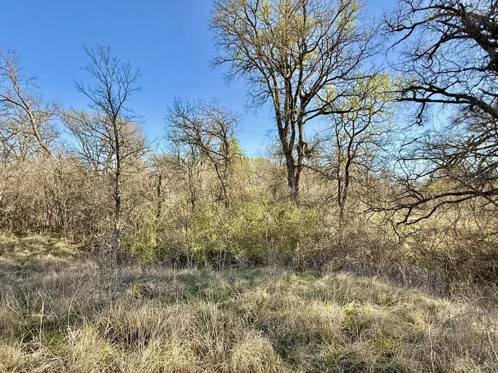 CR 328 Dublin, TX 76446