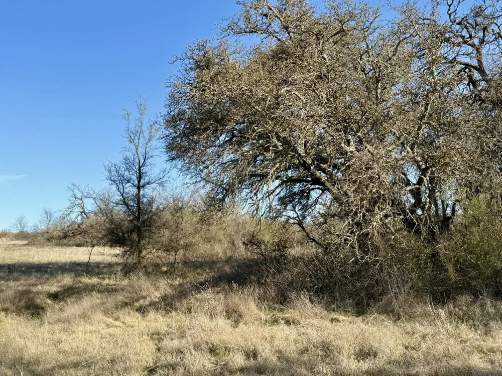 CR 328 Dublin, TX 76446