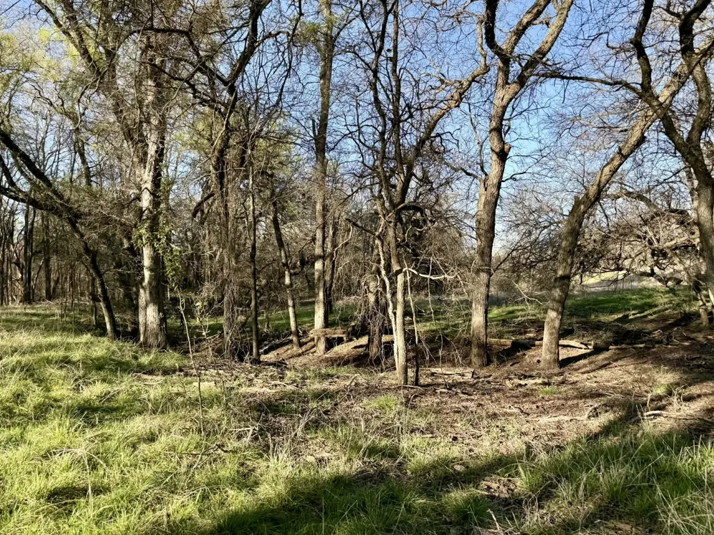CR 328 Dublin, TX 76446