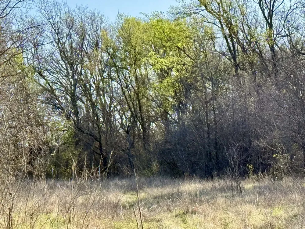 CR 328 Dublin, TX 76446