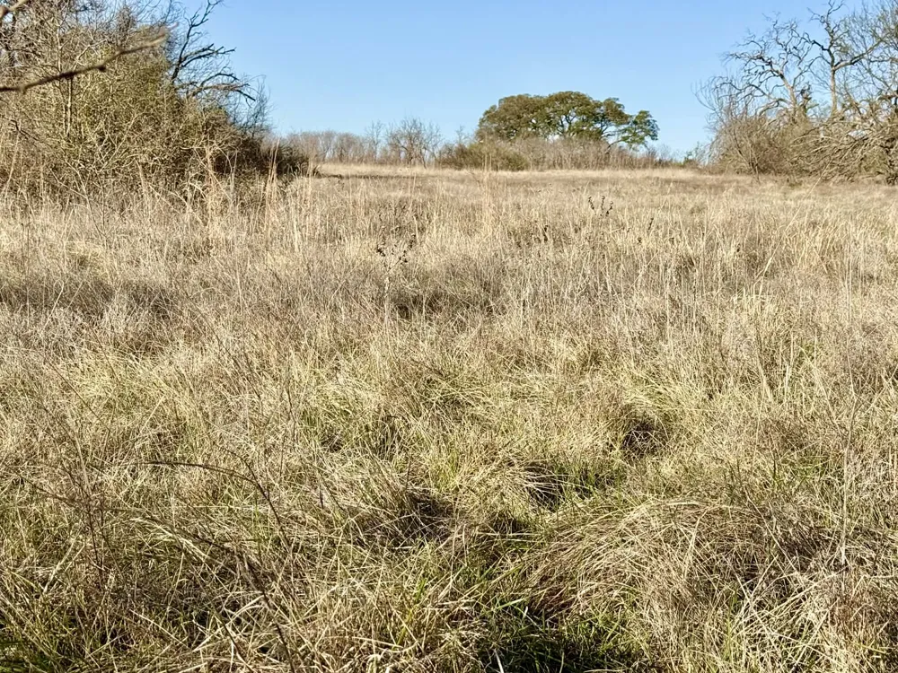 CR 328 Dublin, TX 76446