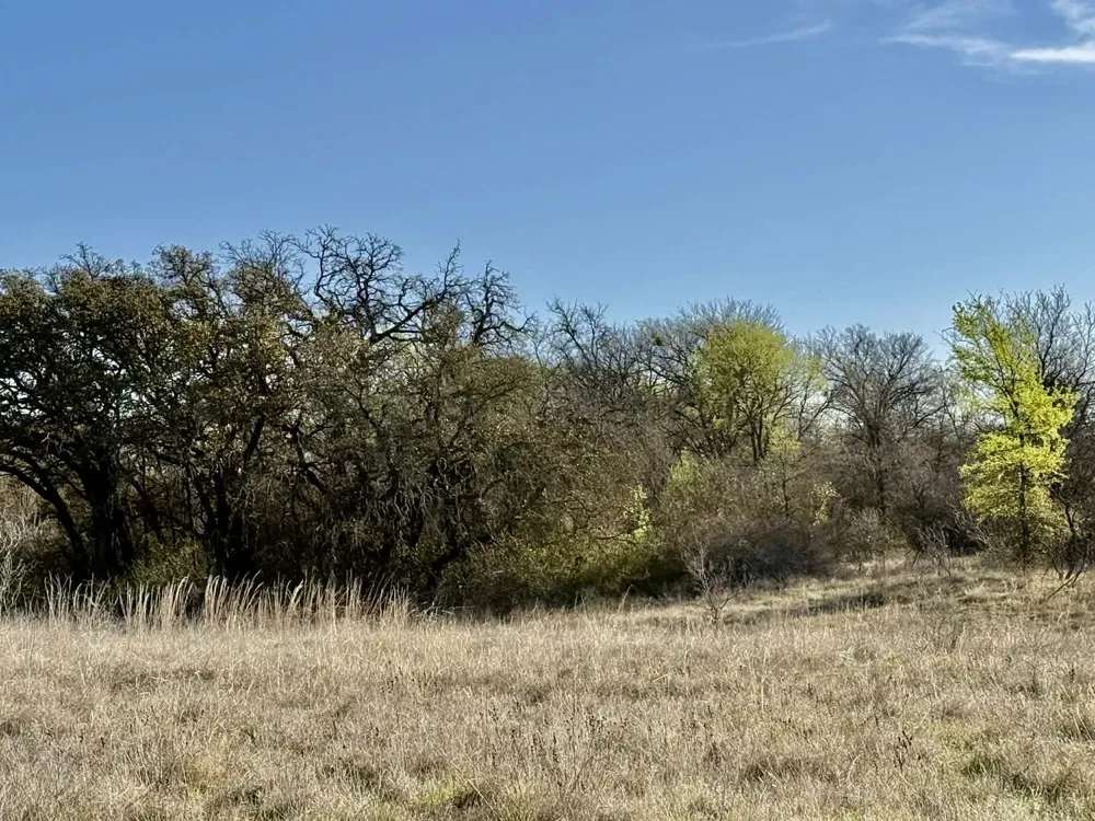CR 328 Dublin, TX 76446