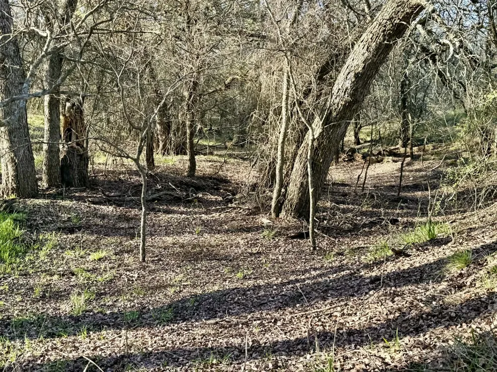 CR 328 Dublin, TX 76446