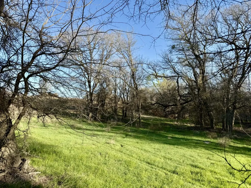 CR 328 Dublin, TX 76446