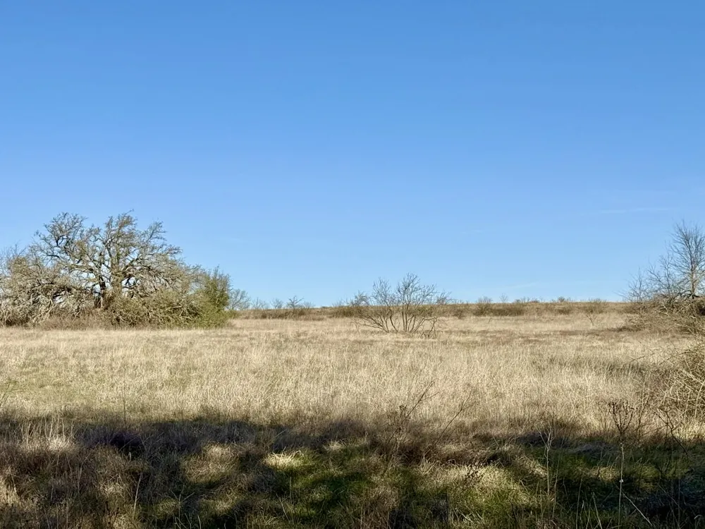 CR 328 Dublin, TX 76446