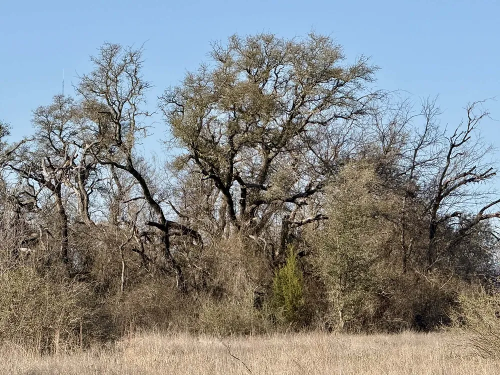 CR 328 Dublin, TX 76446