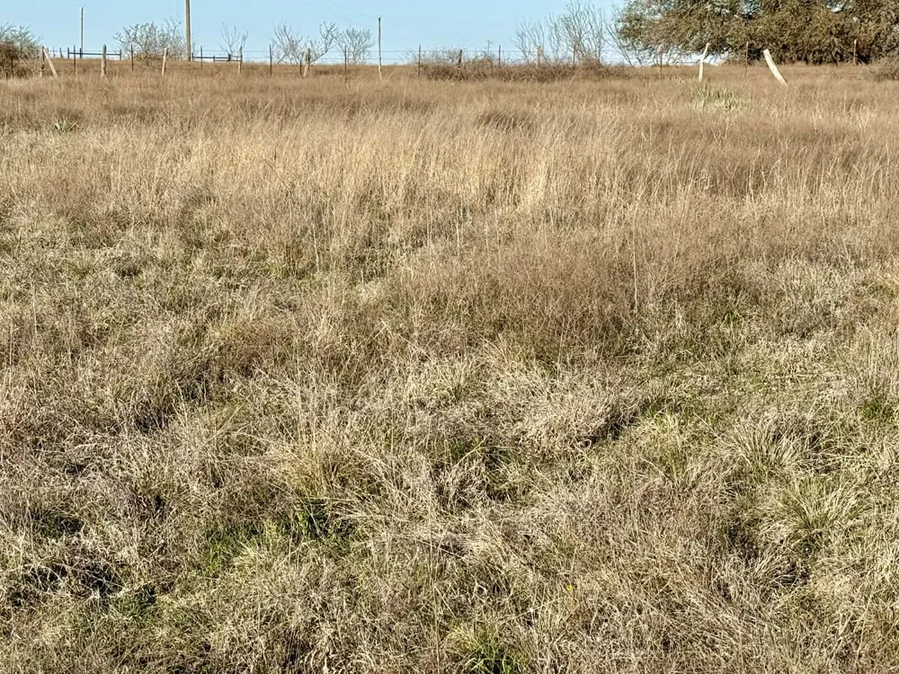 CR 328 Dublin, TX 76446
