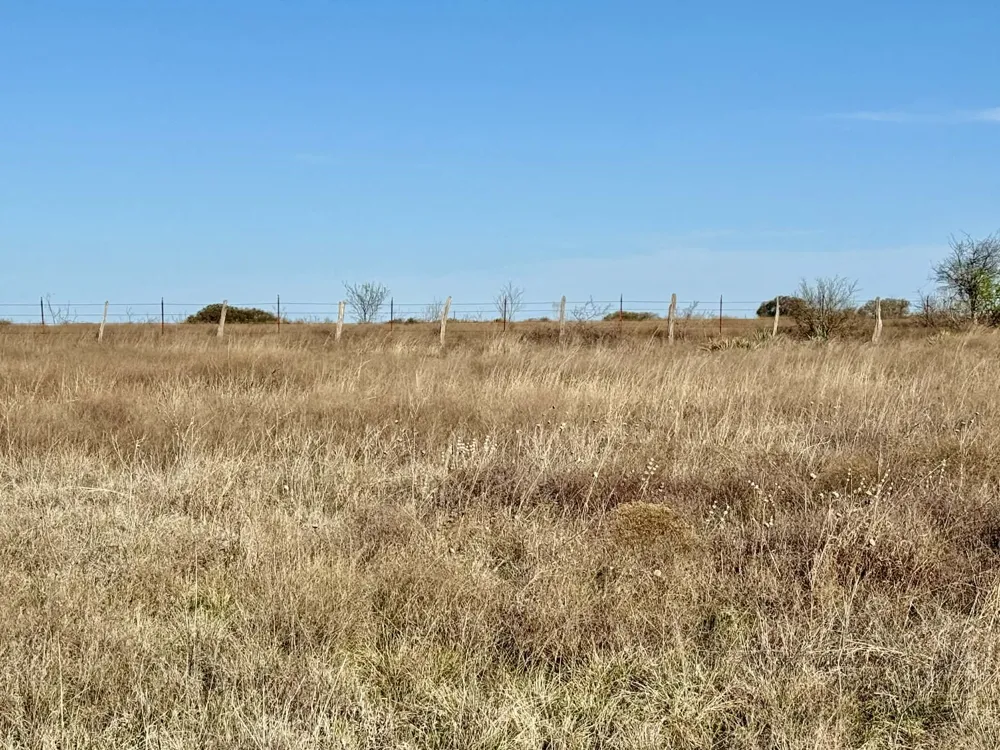 CR 328 Dublin, TX 76446
