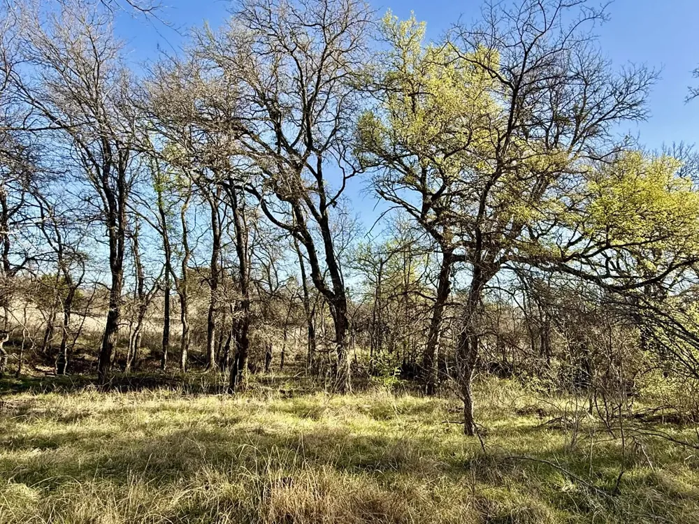 CR 328 Dublin, TX 76446