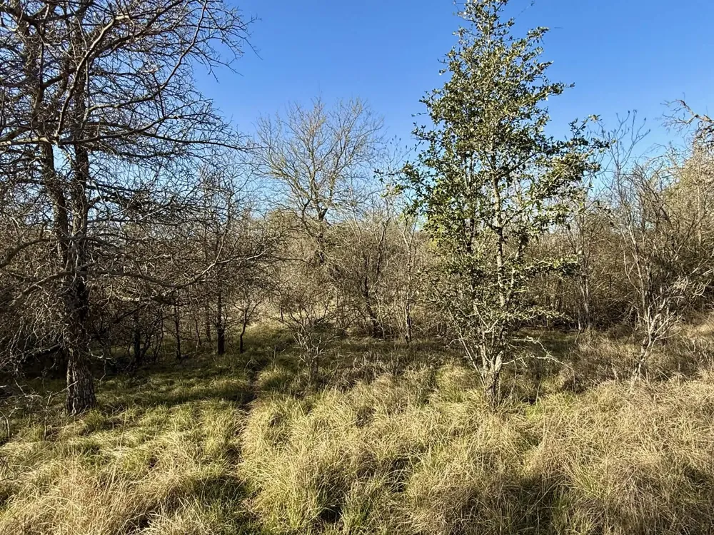 CR 328 Dublin, TX 76446