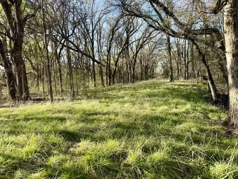 CR 328