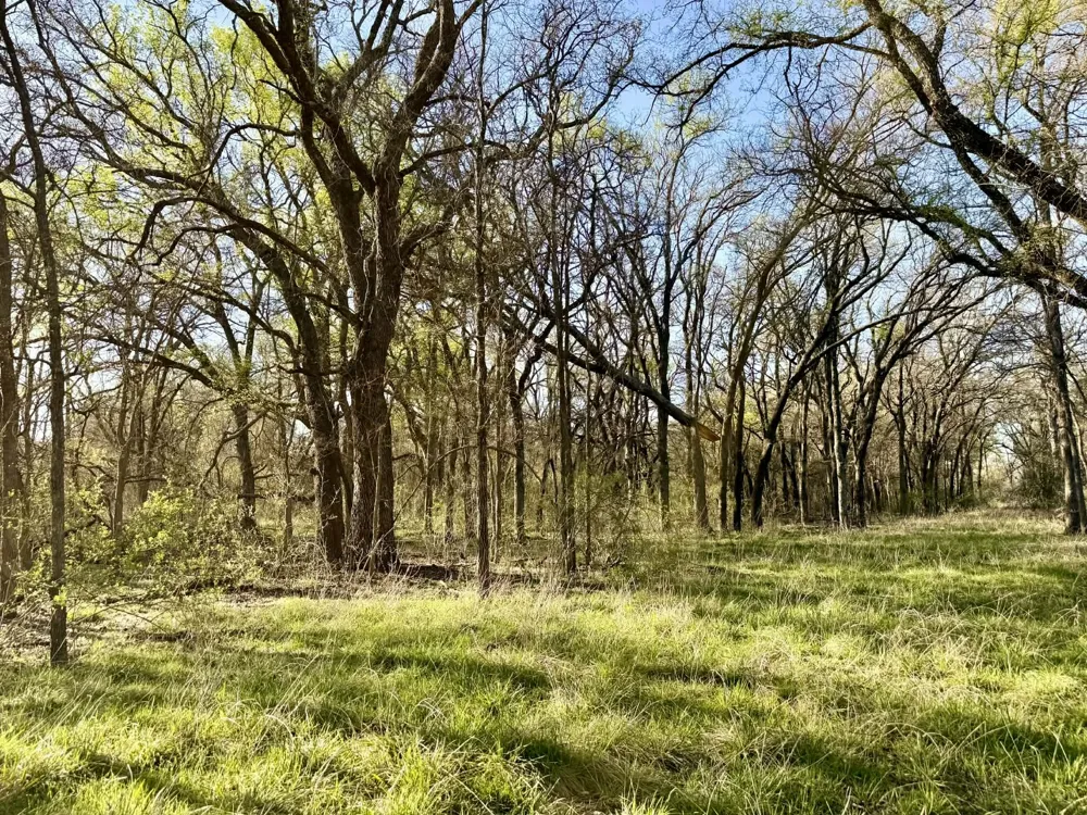 CR 328 Dublin, TX 76446