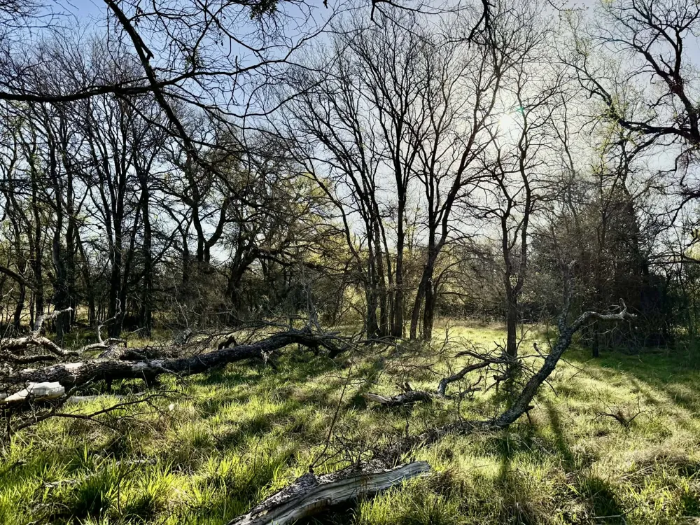 CR 328 Dublin, TX 76446