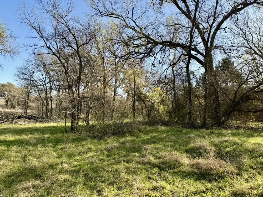 CR 328 Dublin, TX 76446