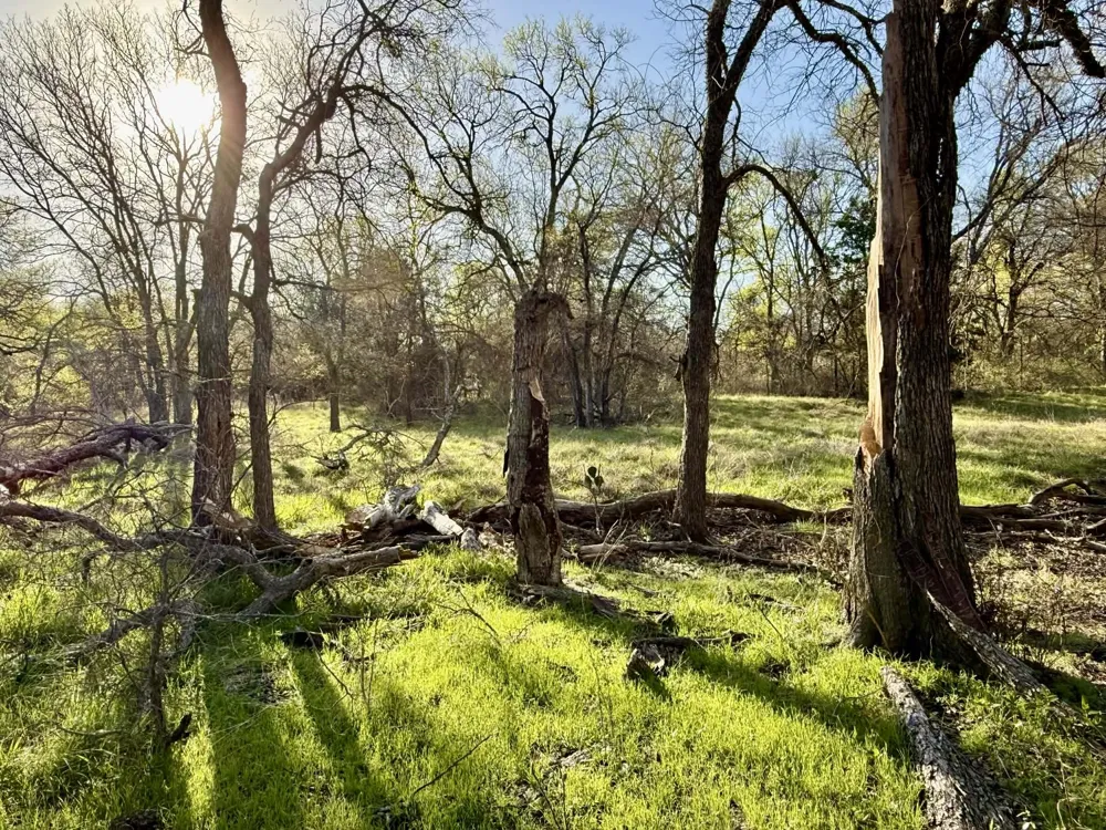 CR 328 Dublin, TX 76446