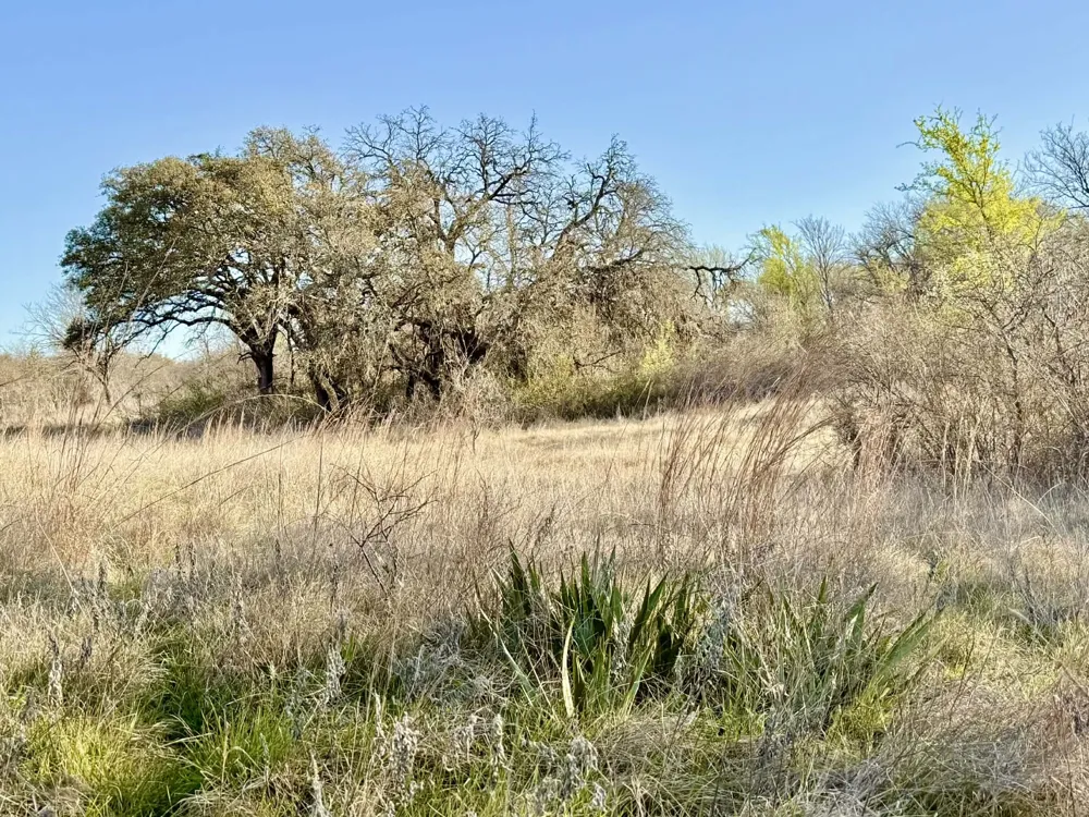 CR 328 Dublin, TX 76446