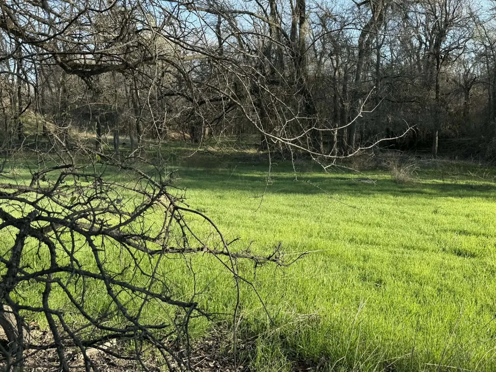 CR 328 Dublin, TX 76446