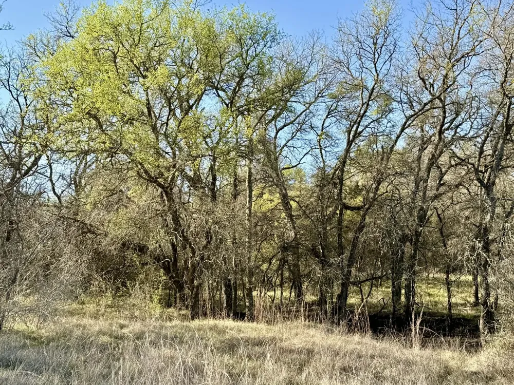CR 328 Dublin, TX 76446