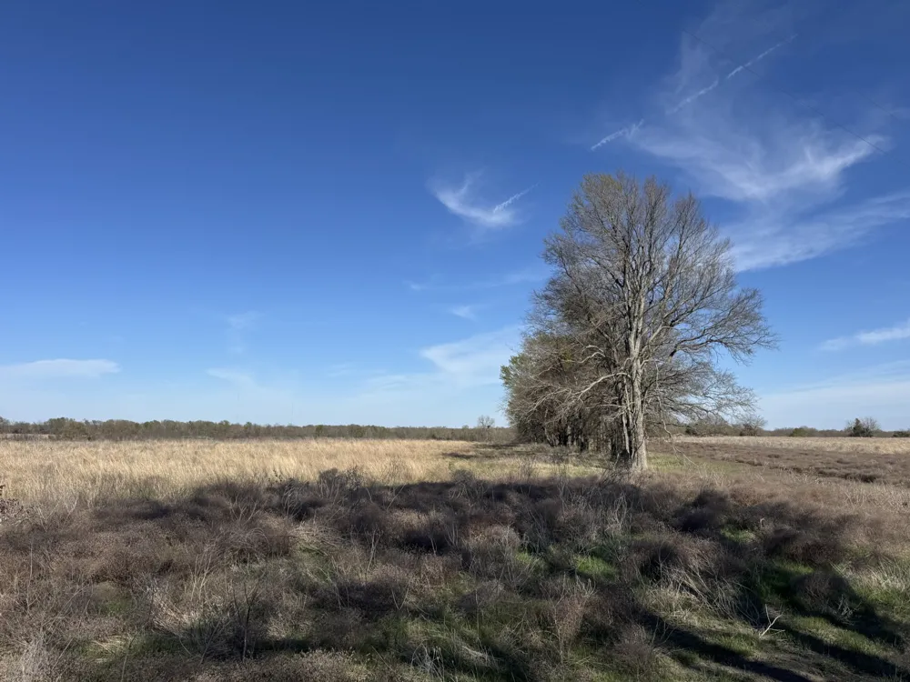 CR 22900 Paris, TX 75460