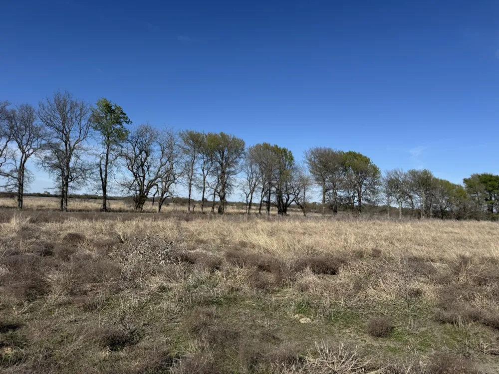 CR 22900 Paris, TX 75460