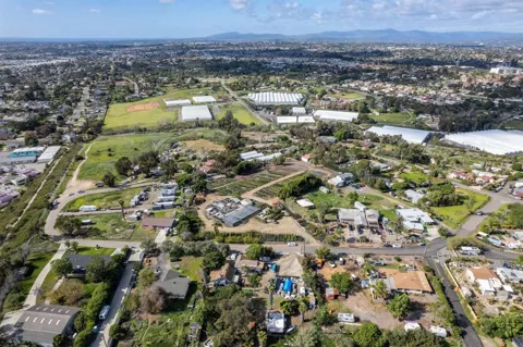 Hedionda Avenue