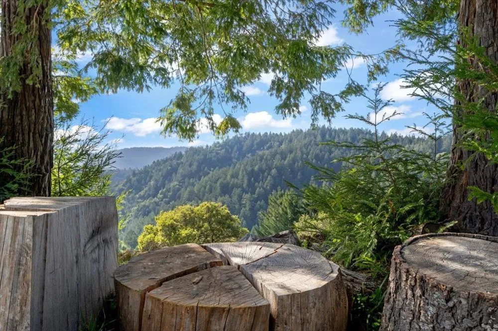 12336 Indian Rock Way Los Gatos, CA 95033
