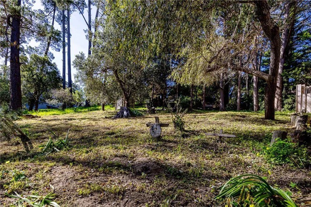 1935 Spencer Street Cambria, CA 93428