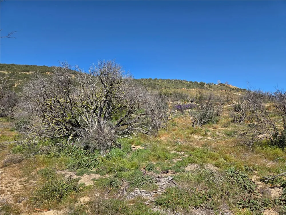 Howard Anza, CA 92539