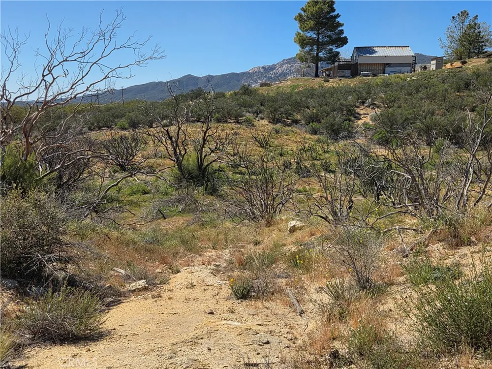 Howard Anza, CA 92539