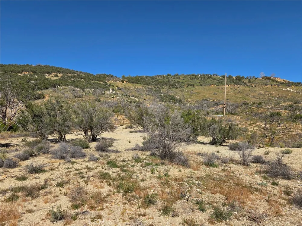 Howard Anza, CA 92539
