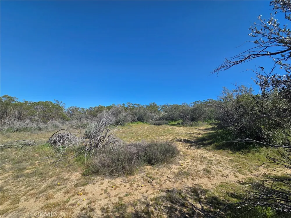 Pony Trail Anza, CA 92539
