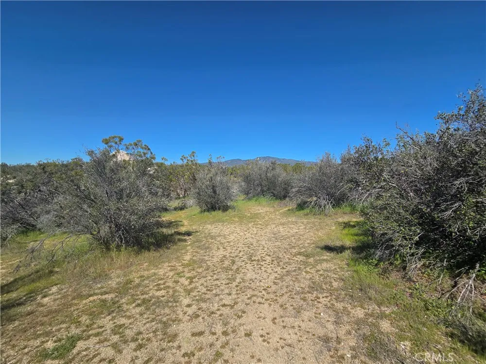 Pony Trail Anza, CA 92539