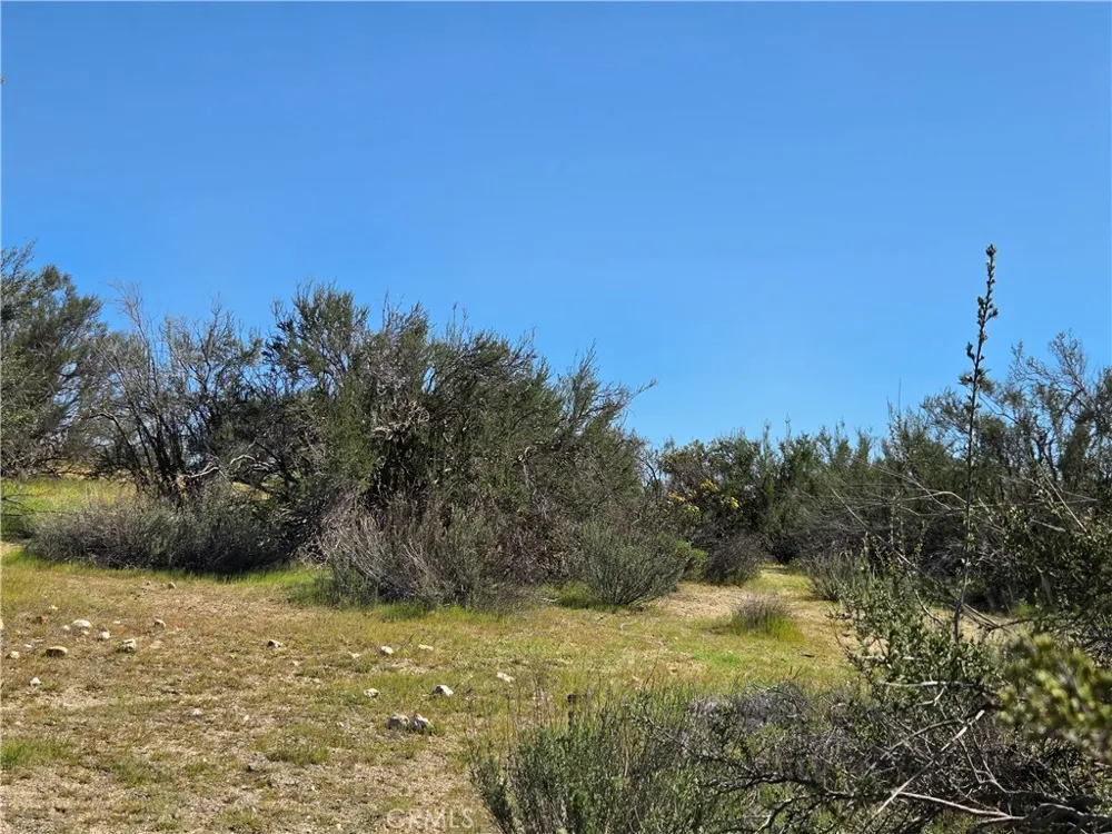 Pony Trail Anza, CA 92539