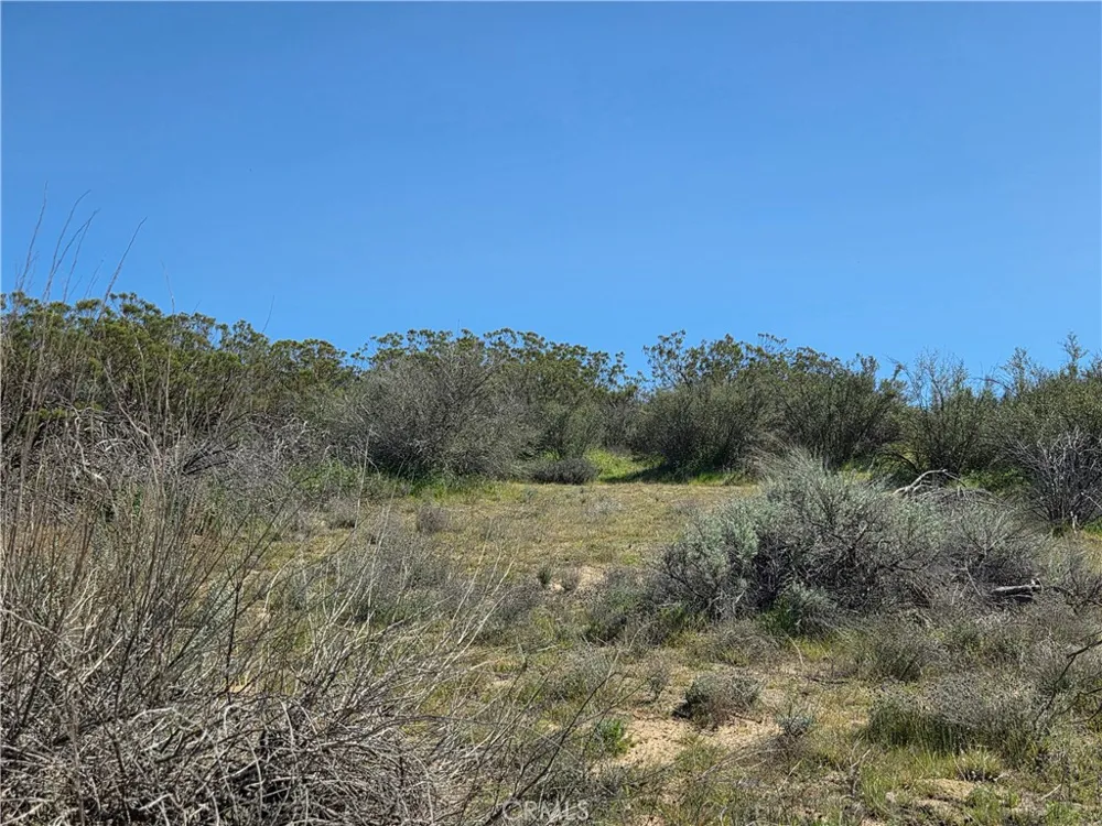 Pony Trail Anza, CA 92539