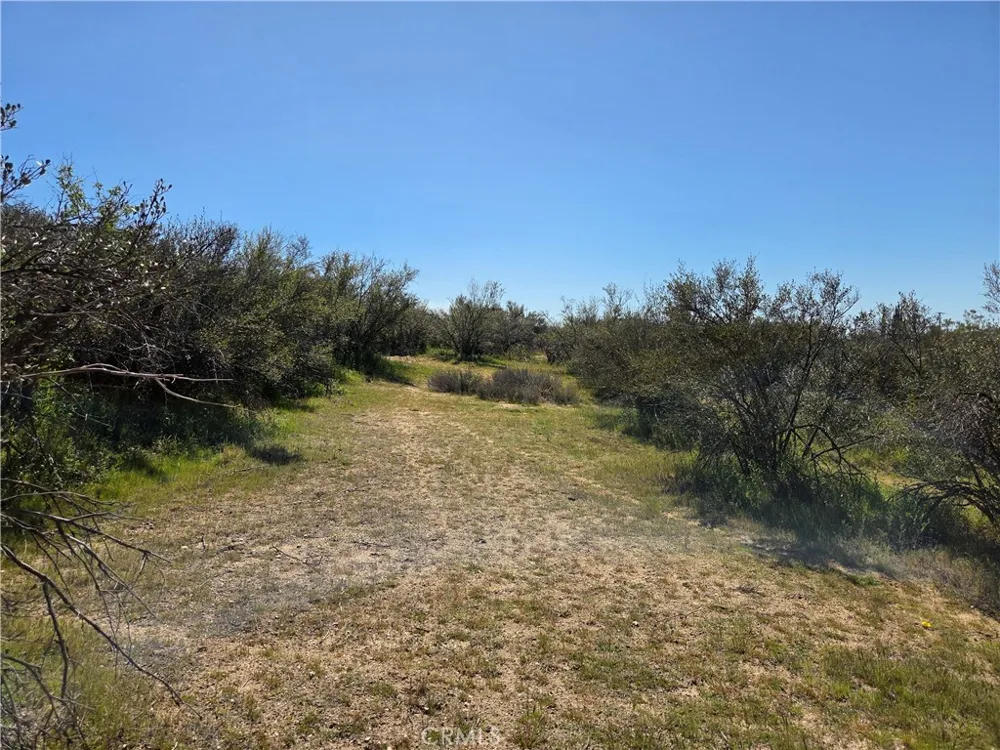 Pony Trail Anza, CA 92539