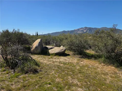Pony Trail