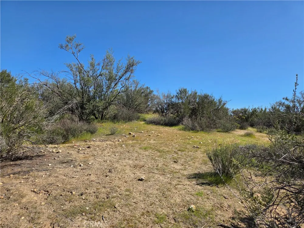 Pony Trail Anza, CA 92539