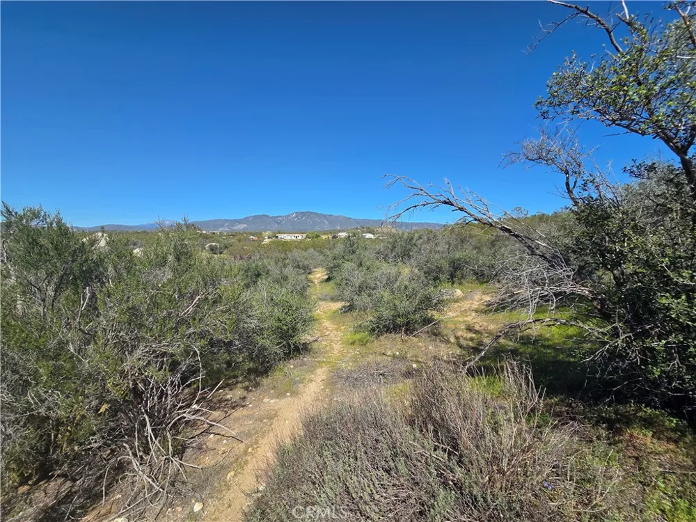 Pony Trail Anza, CA 92539
