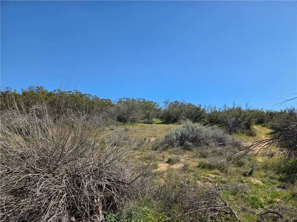 Pony Trail Anza, CA 92539