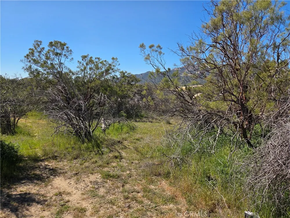 Pony Trail Anza, CA 92539