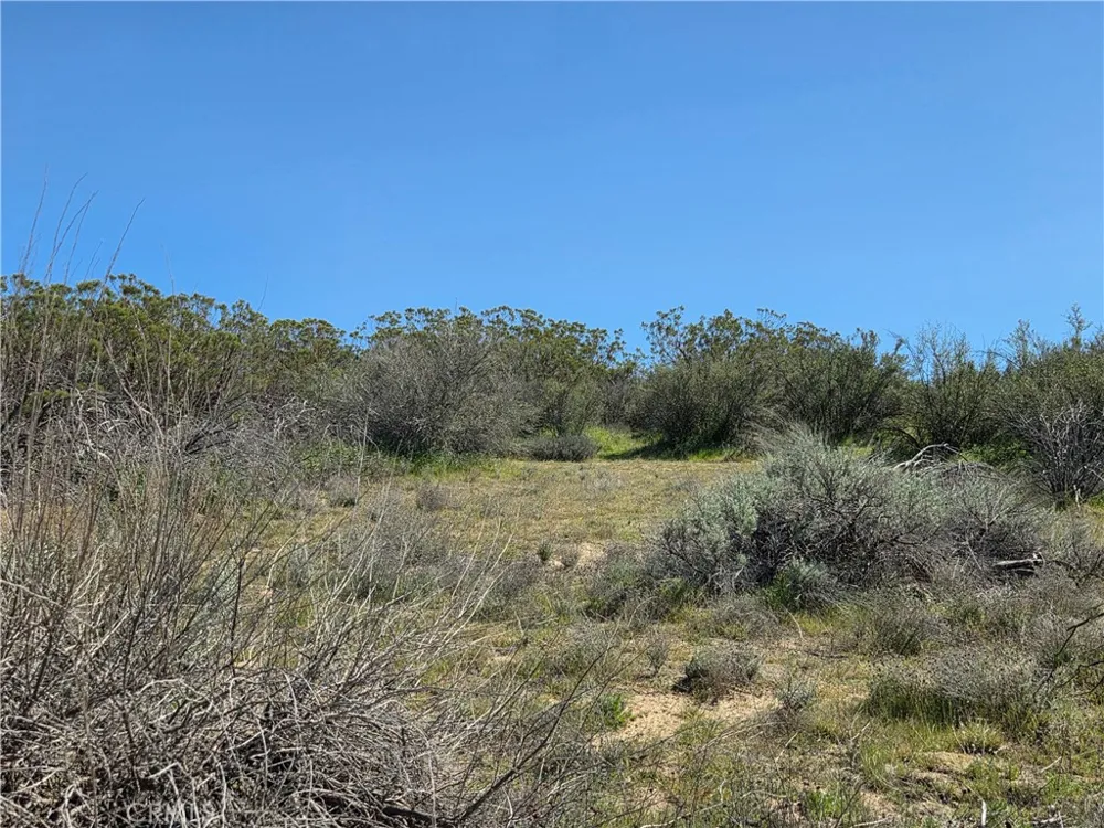 Pony Trail Anza, CA 92539