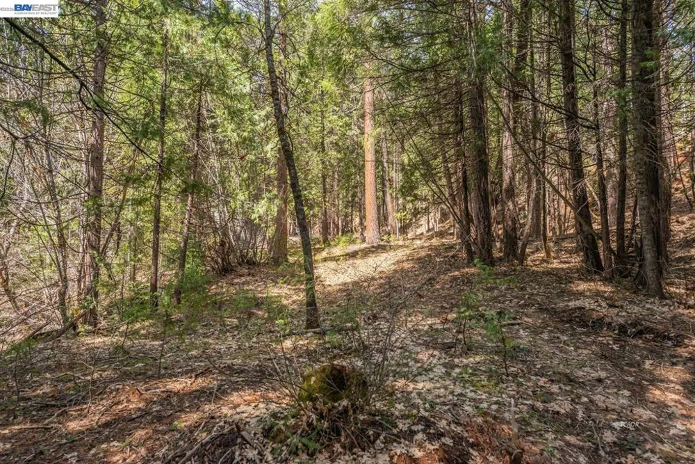 121 Mountain Aire Ln Trinity Center, CA 96091