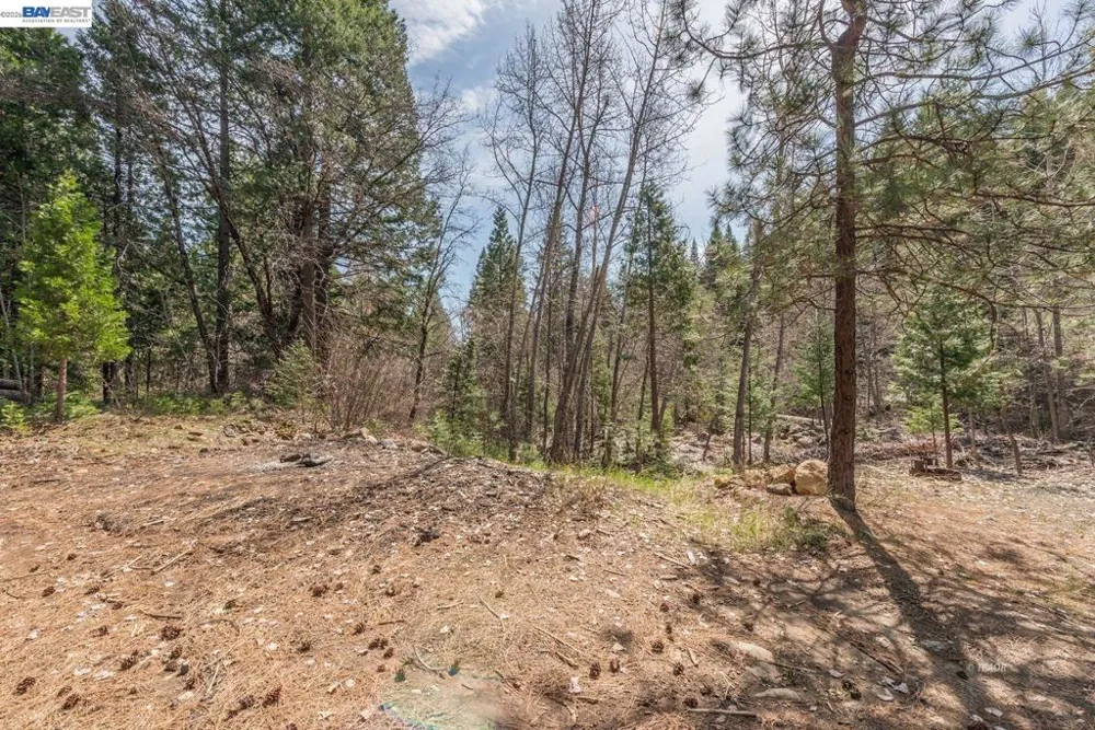 121 Mountain Aire Ln Trinity Center, CA 96091